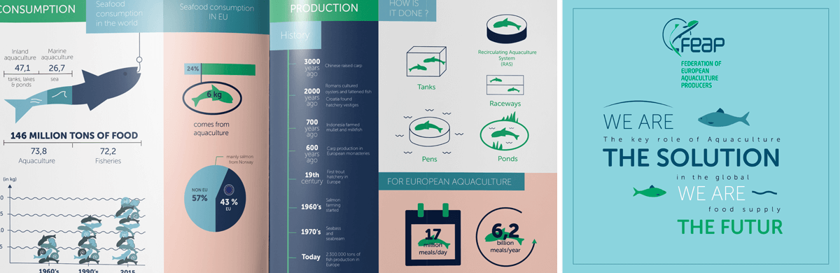 Infographie pour une Fédération européenne d’aquaculture - studio graphique